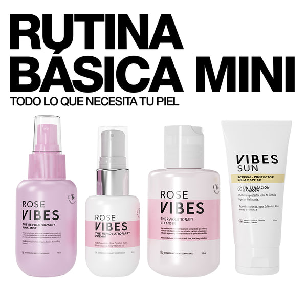RUTINA BÁSICA MINI